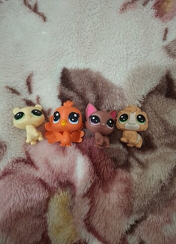  lps minişler