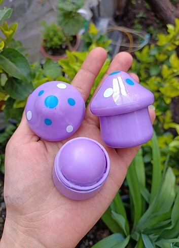 Lipbalm