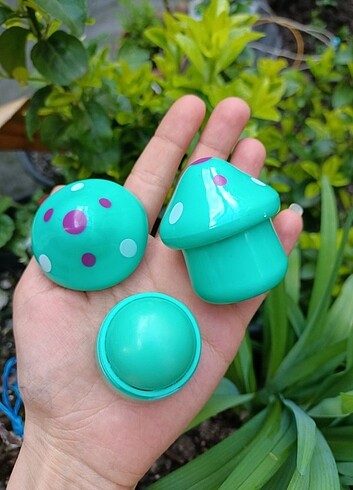 Lipbalm 