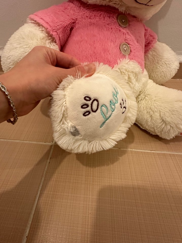 35cm Pembe Kapüşonlu Peluş Ayı Oyuncak - Görsel 3