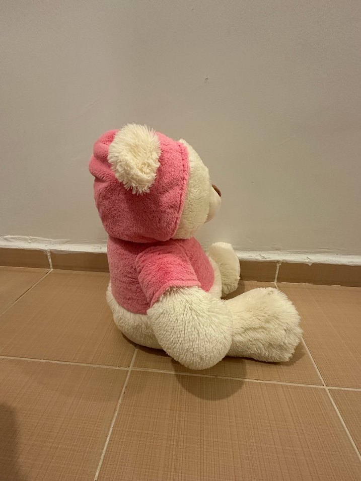 35cm Pembe Kapüşonlu Peluş Ayı Oyuncak - Görsel 2