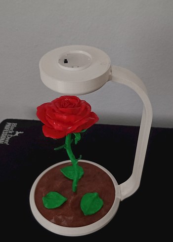 Viral Gül Modeli - Görsel 2