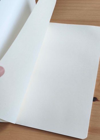 Atatürk Defter - Görsel 3