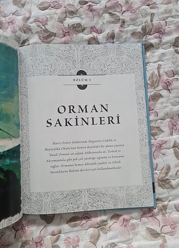 Beden Harry Potter Film Dehlizi