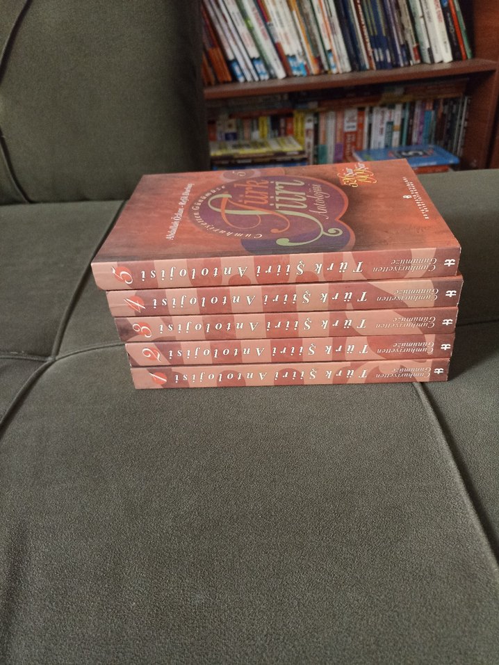 Türk Şiiri Antolojisi Seti 5 Kitap - Görsel 2
