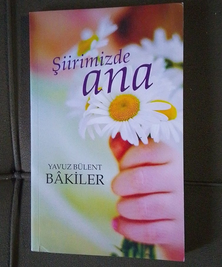 ŞİİR KİTAPLARI - Görsel 3