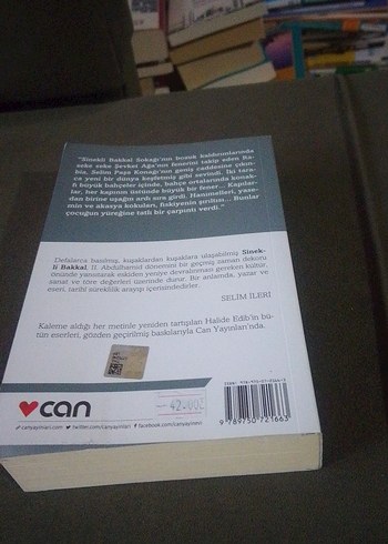 Beden Renk Sinekli Bakkal - Halide Edib Adıvar