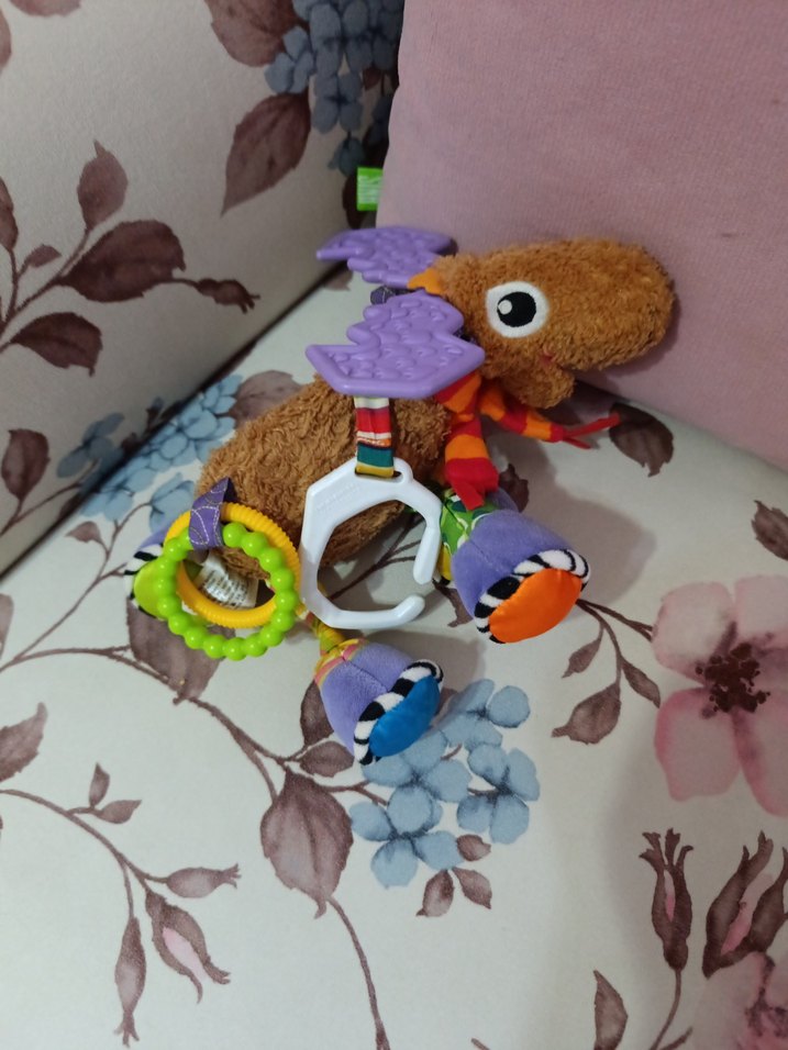 Renkli Fil Diş Kaşıyıcı ve Çıngırak - Görsel 2