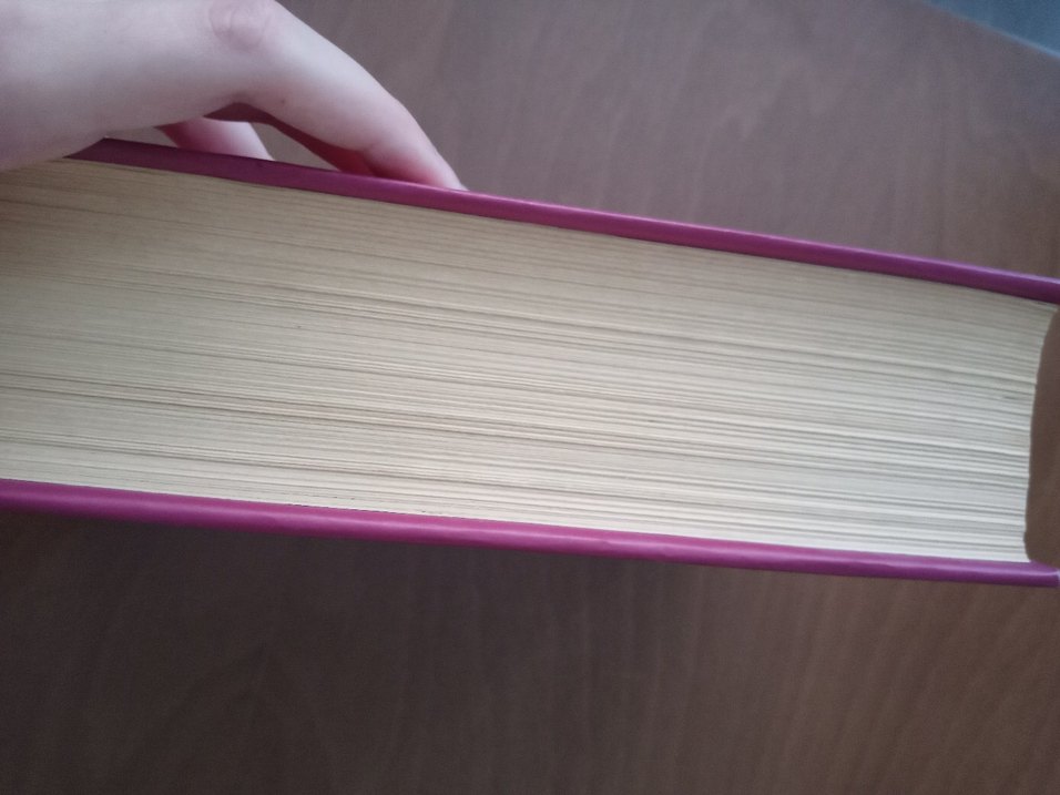 Türk Dünyası Edebiyat Tarihi Cilt 3 Kitap - Görsel 3