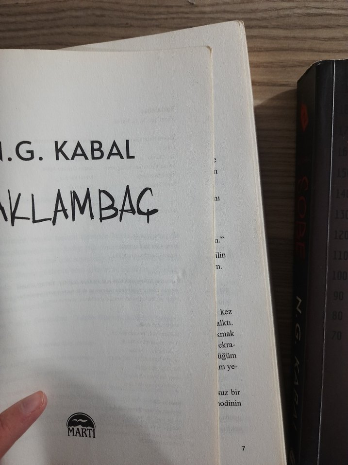 Sobe ve Saklambaç - N.G. Kabal Romanları - Görsel 2