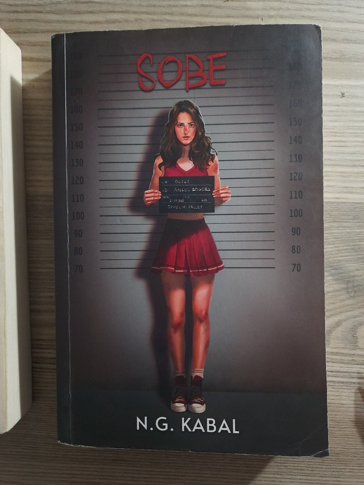 Sobe ve Saklambaç - N.G. Kabal Romanları - Görsel 4