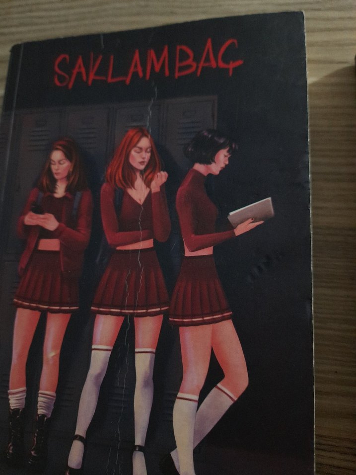 Sobe ve Saklambaç - N.G. Kabal Romanları - Görsel 3