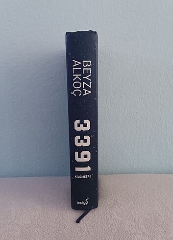 Beyza Alkoç 3391