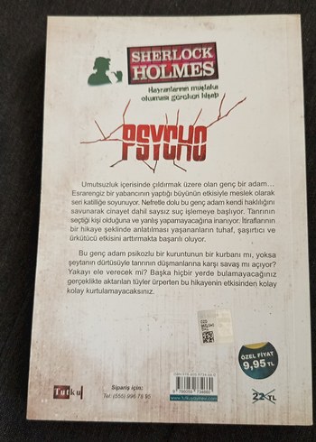 Sherlock Holmes Psycho - James Hogg - Görsel 2