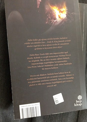 Emily R. King 2 Kitap Seti: Yüzüncü Kraliçe, Ateş Kraliçesi - Görsel 3