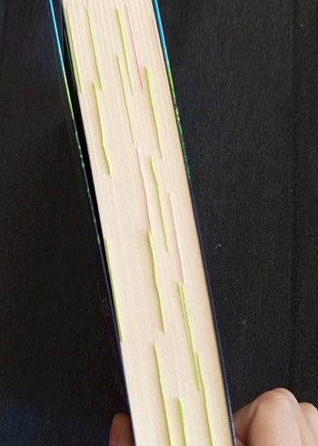 Kurtlara Söyle Eve Döndüm - Carol Rifka Brunt - Görsel 2