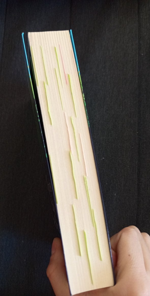 Kurtlara Söyle Eve Döndüm - Carol Rifka Brunt - Görsel 2