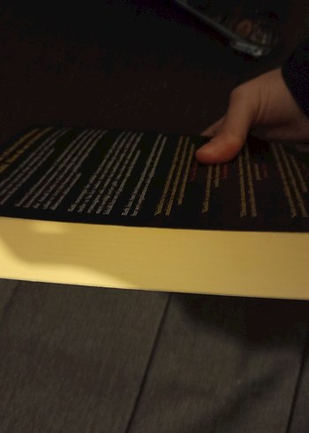 Reenkarnasyon - R.S. Pateman - Görsel 3