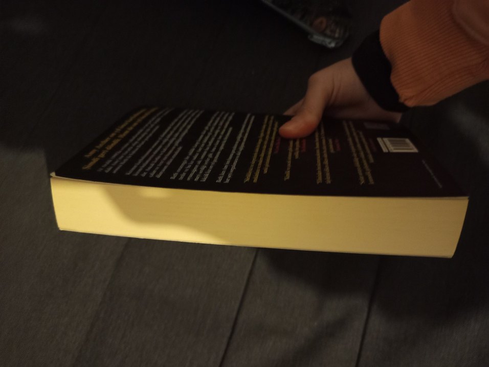 Reenkarnasyon - R.S. Pateman - Görsel 3