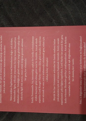 Emily - M.C. Beaton - Görsel 2