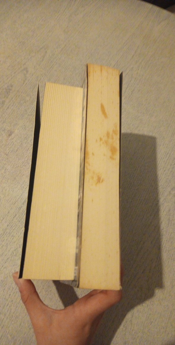 Peter James - Senin Gibi & Yarın Biri Ölecek 2kitap - Görsel 4