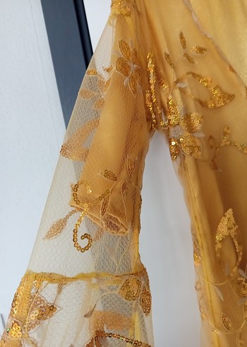 Bej İşlemeli Uzun Kollu Bohem Uzun Elbise - Görsel 3