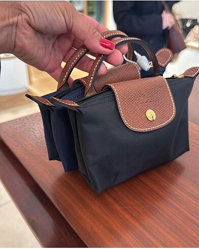 Longchamp xs pouch