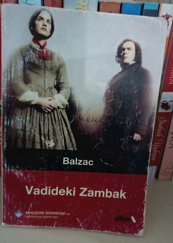 Dünya klasikleri seti - Alkım yayınevi - Görsel 4