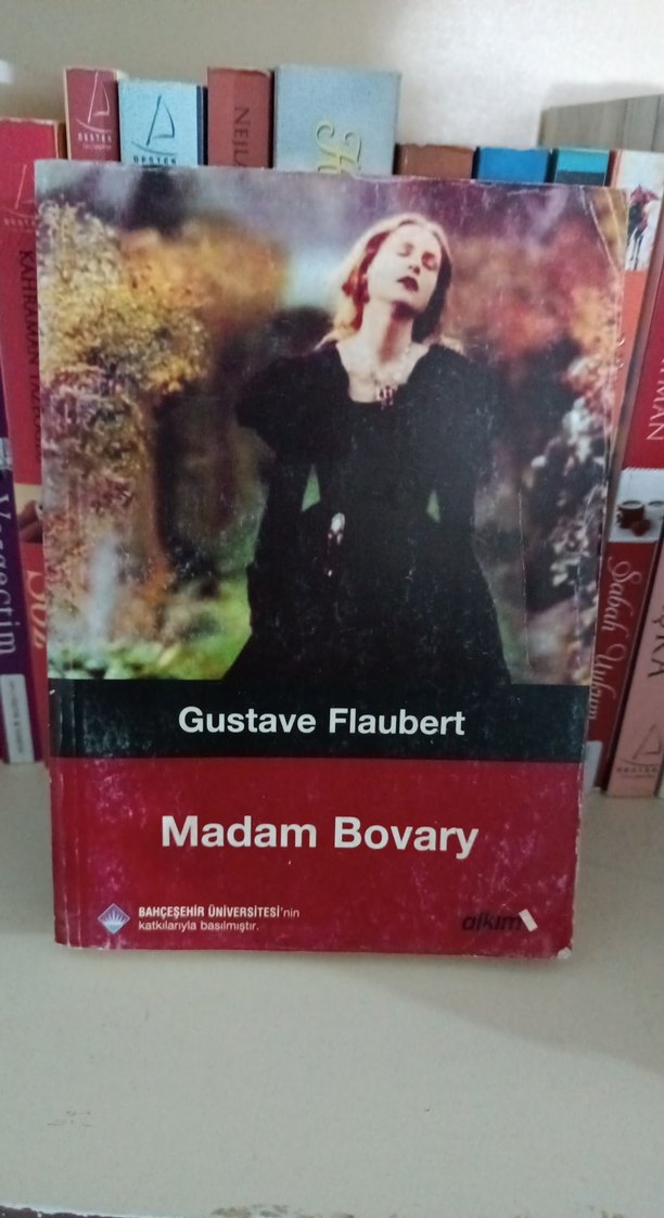 Dünya klasikleri seti - Alkım yayınevi - Görsel 5