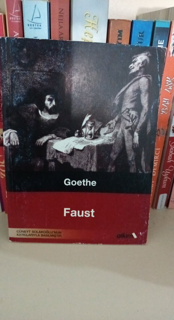 Dünya klasikleri seti - Alkım yayınevi - Görsel 2