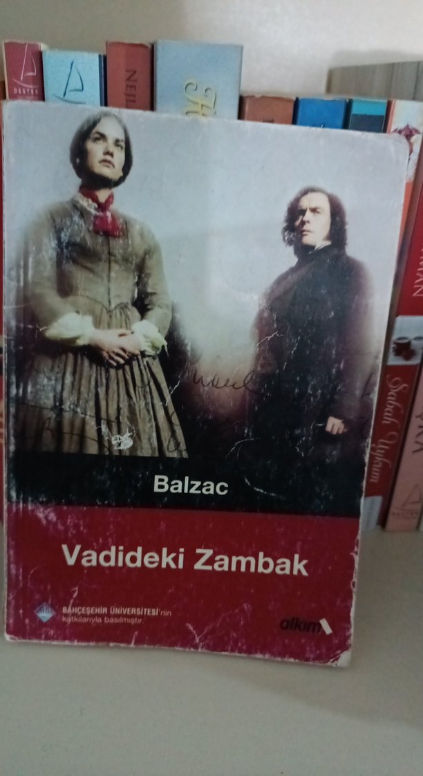 Dünya klasikleri seti - Alkım yayınevi - Görsel 4