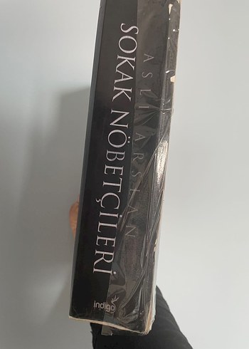 Sokak Nöbetçileri - Aslı Arslan - Görsel 2