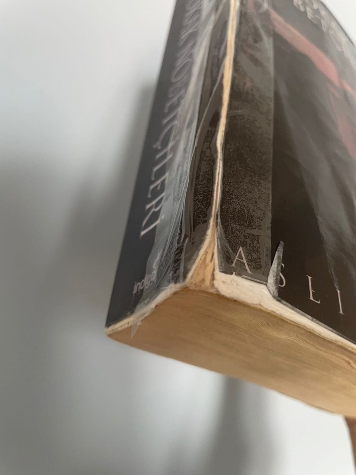 Sokak Nöbetçileri - Aslı Arslan - Görsel 3