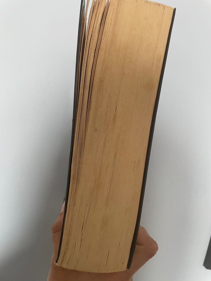 Sokak Nöbetçileri - Aslı Arslan - Görsel 4