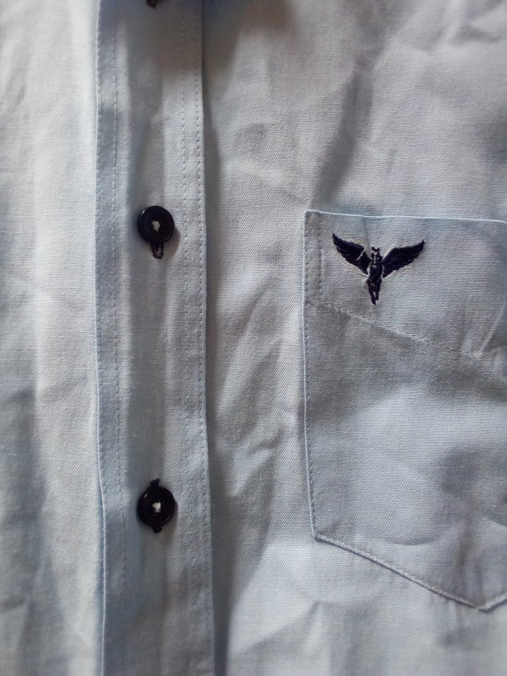 Erkek Mavi Kısa Kollu Pamuklu Gömlek - Görsel 4