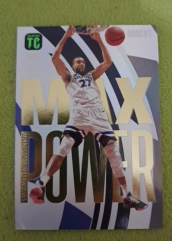 Max Dower Minnesota Timberwolves Basketbol Karti