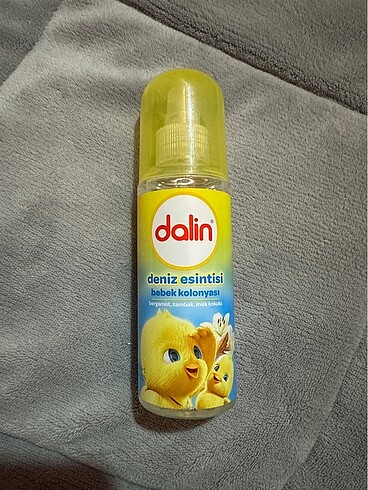 Dalin deniz esintisi