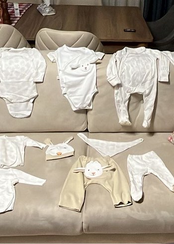 Tinylamb hastane çıkışı - Görsel 2