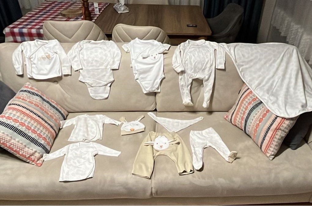 Tinylamb hastane çıkışı - Görsel 2