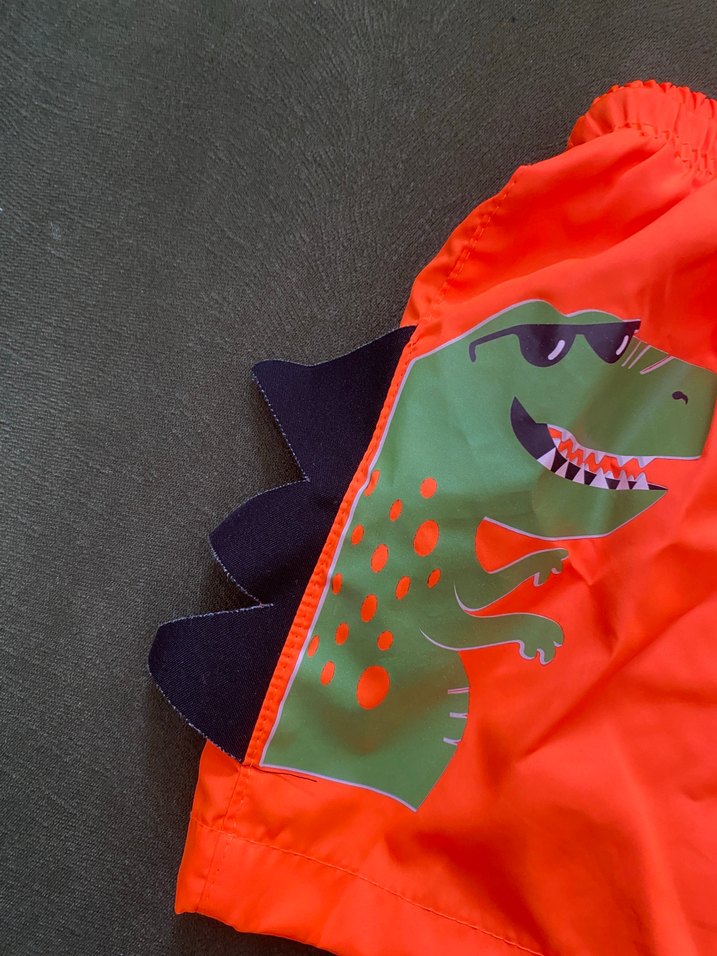 Renkli Baskılı Erkek Çocuk Deniz Şortu - Görsel 2