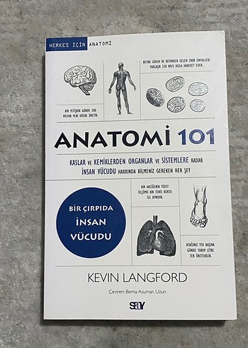 Anatomi 101 - Kevin Langford