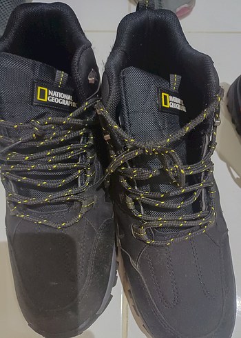 National Geographic 43