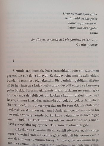 Kobra - AK Welsapar - Görsel 7