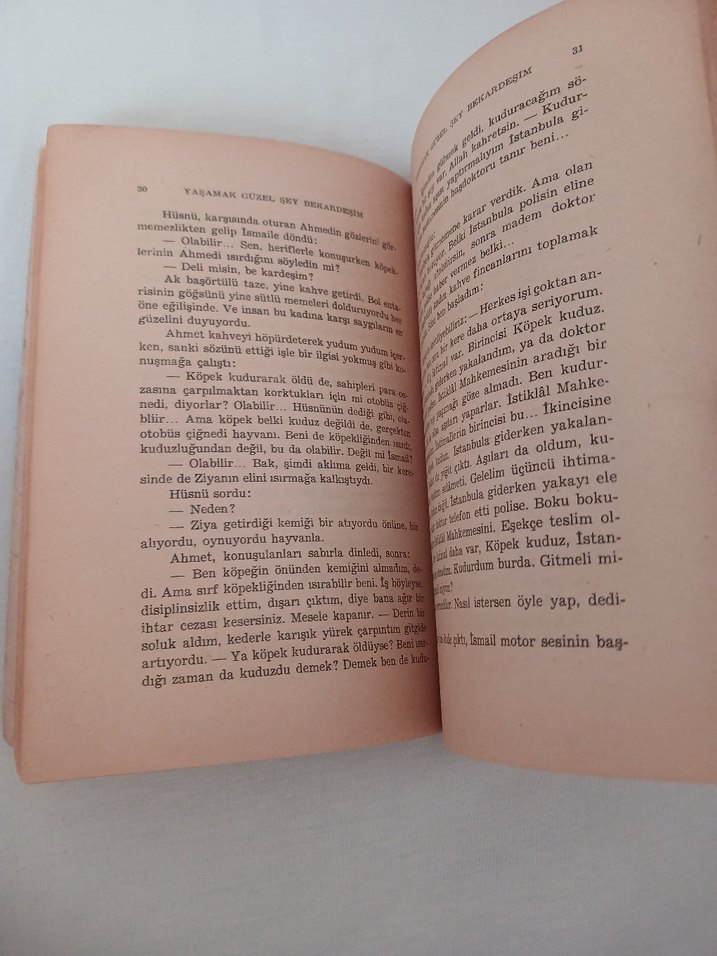 Yaşamak Güzel Şey Bekardeşim - Nazım Hikmet - Görsel 3