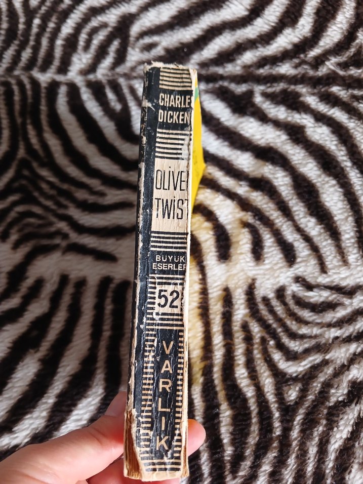 Oliver Twist - Charles Dickens Romanı - Görsel 3