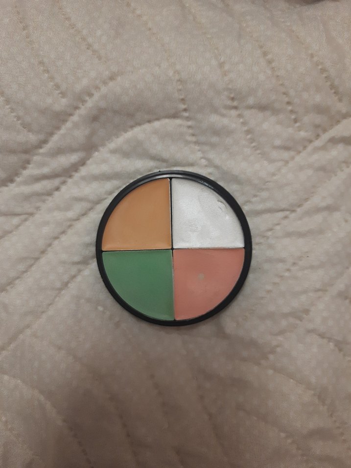 Wet n Wild Çoklu Kapatıcı Paleti - Görsel 2