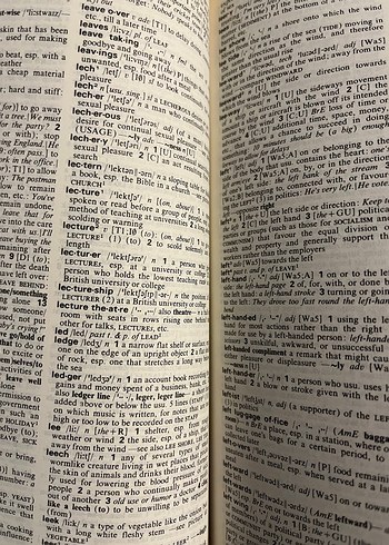 Longman Çağdaş İngilizce Sözlüğü - Görsel 4