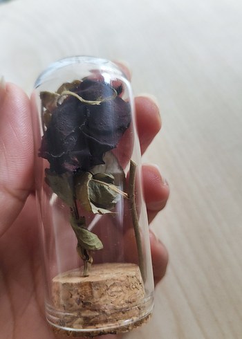 halfetiden orjinal karagül - Görsel 3