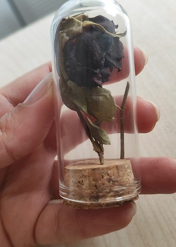 halfetiden orjinal karagül - Görsel 4