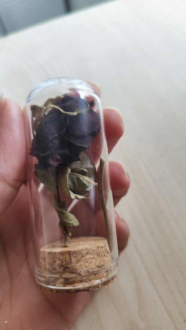 halfetiden orjinal karagül - Görsel 3